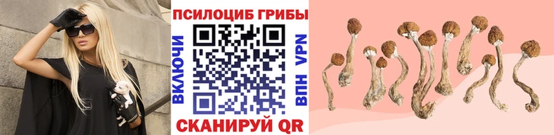 ОМГ ОМГ ссылка  Солигалич  Галлюциногенные грибы мухоморы  магазин продажи наркотиков 